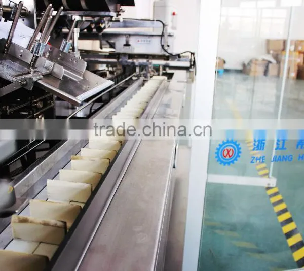Blister Cartoning Machine (XWZ-120) photo-5