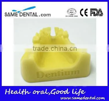 Mandibular Implant Dental Training Model (no Gum) Dental Eduction Assitant No. DEA-22 photo-2