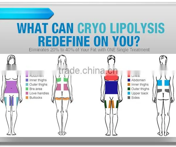 2016 New Products Body Criolipolisis Cryolipolysis Machine Lipolaser Cryolipolysis Vertical Fat Freeze Slimming Machine Best Selling Increasing Muscle Tone photo-2