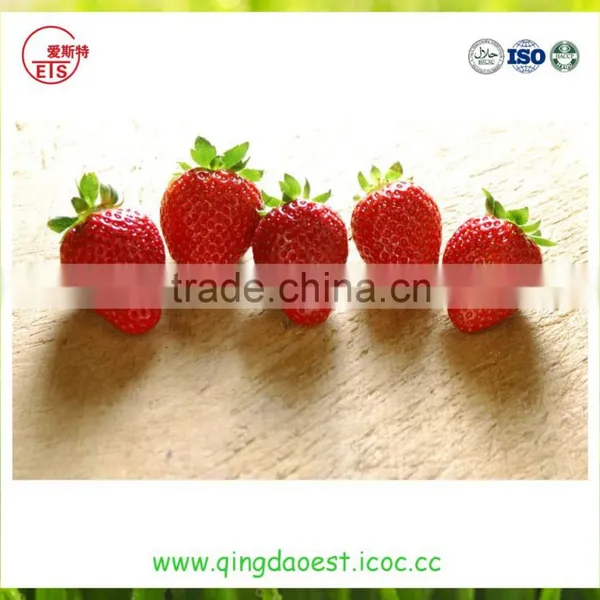 Best Price Fresh Strawberry photo-4