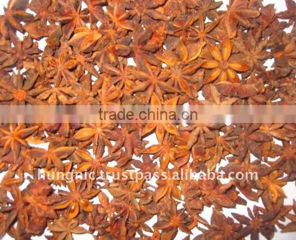 Star Anise/Vietnam Star Anise Good Price High Quality (website: Visimex09)