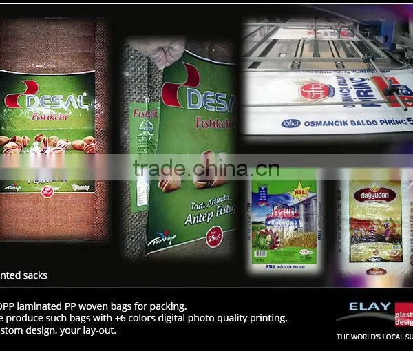 pp Woven Printed Sacks
