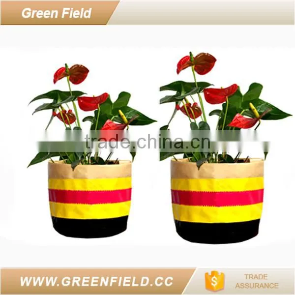 Flower Pot Wholesale Custom Fancy Flower Pot photo-3