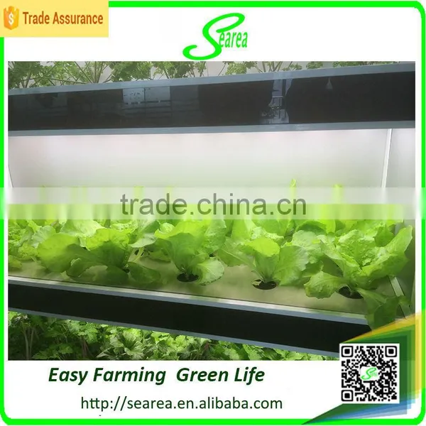 Good Use Hydroponic Styrofoam Greenhouse photo-2
