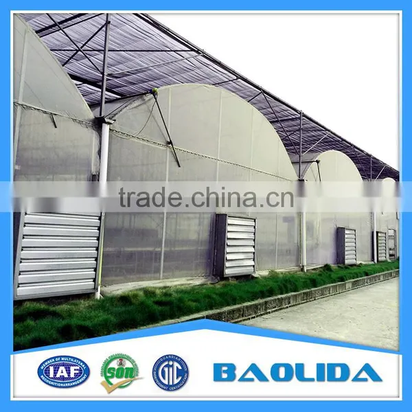 PE Mesh Covered Greenhouse photo-4
