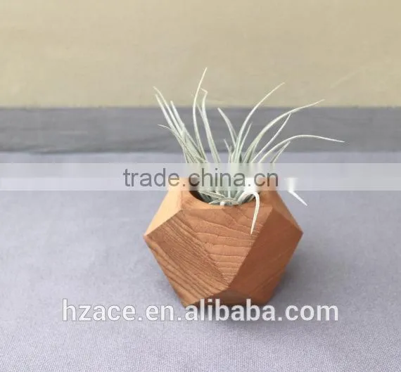 Teak Wood Planters photo-3