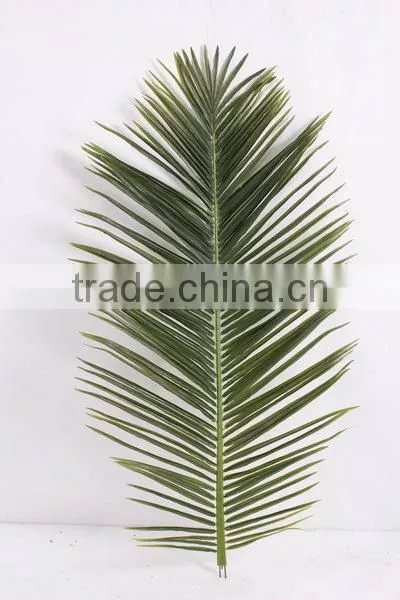 SJ12001119 Dried Plam Tree Leave/artificial Big Leaves photo-2