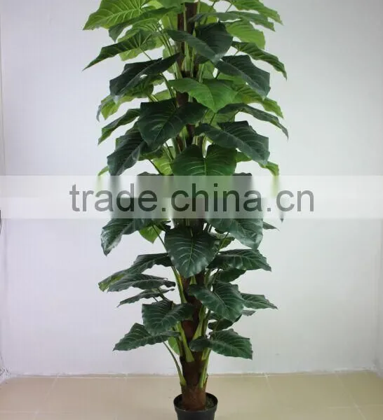 Fake Plastic Plant Green Palm and Banana Trees Suppliers photo-3