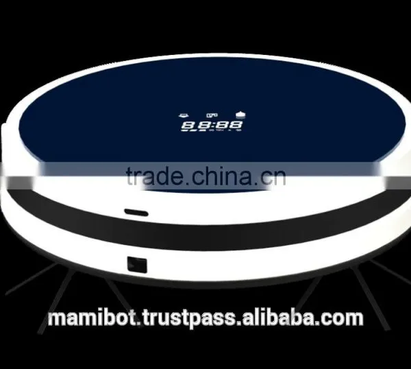 Vacuum Clenaer With Big Water Tank and Wifi