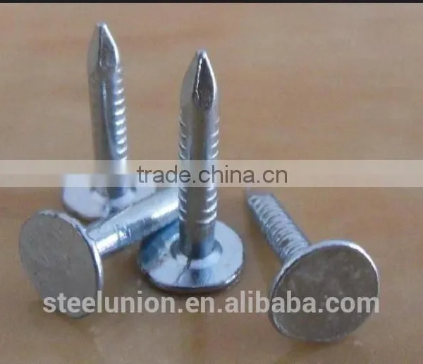 Galvanized Clout Nails With Flat Head/ Clout Nail Roofing Nails photo-4