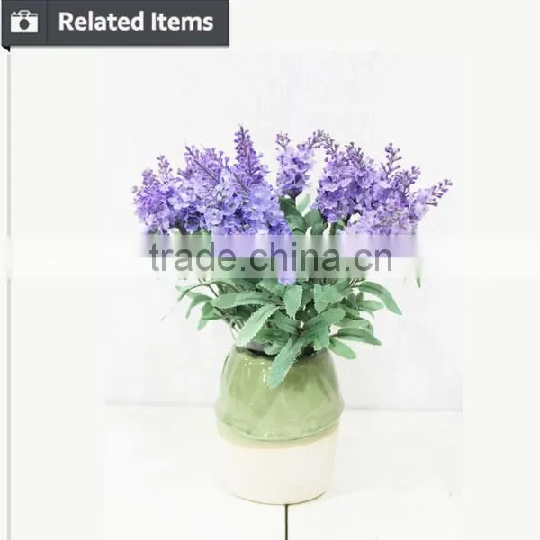 Small Decorative Flower Lavender Plant for Home and Hotel Usage photo-4