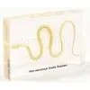 QF Educational Embedded Specimen Teaching Specimen - Non-venomous Snake Skeleton