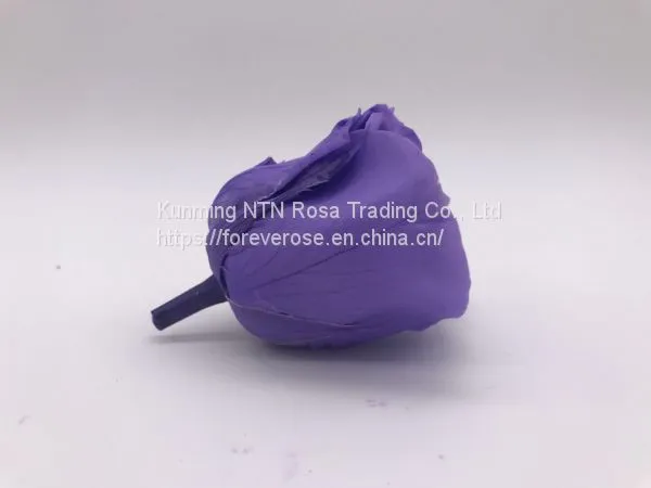 Preserved Fresh Roses Flower for Home Decoration photo-4