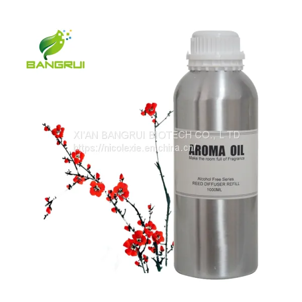 More Popular Perfume Essence Oil for Electric Aroma Diffuser Scent Machine photo-2