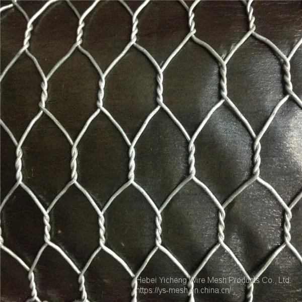 Galvanized Chicken Wire Mesh Fence Net Hexagonal Netting photo-4