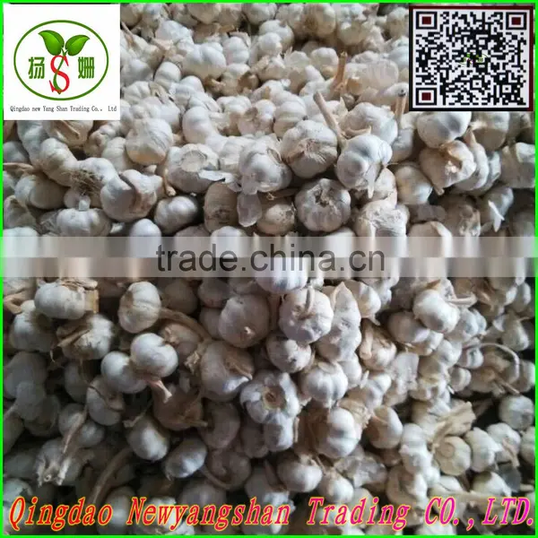 Pollution-free Garlic/pure White Garlic, Garlic Exports photo-2