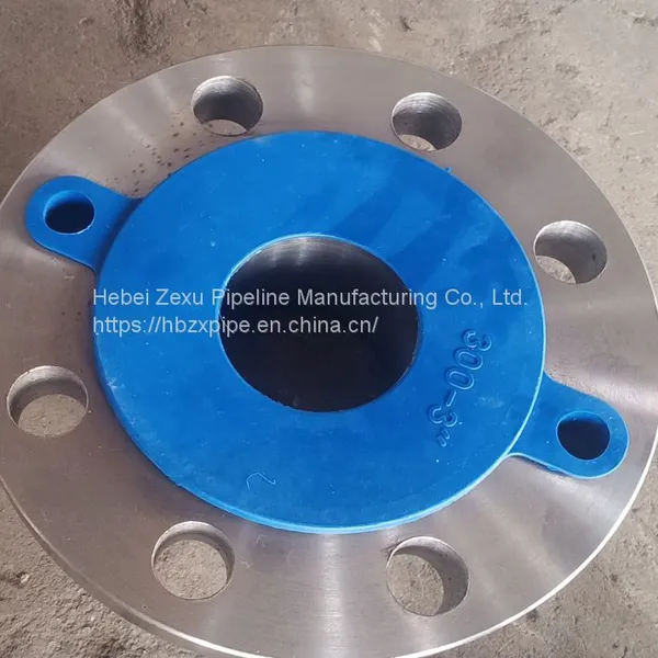 Forged Flange, A105 Hole Plate Flange photo-3