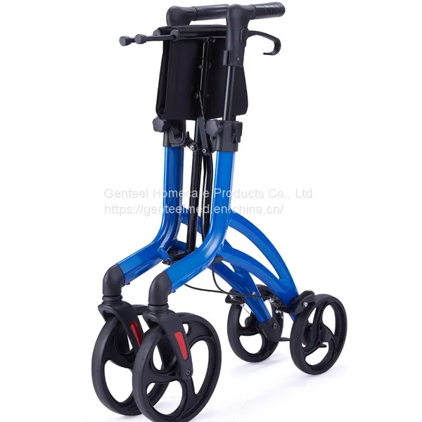 Artist Rollator