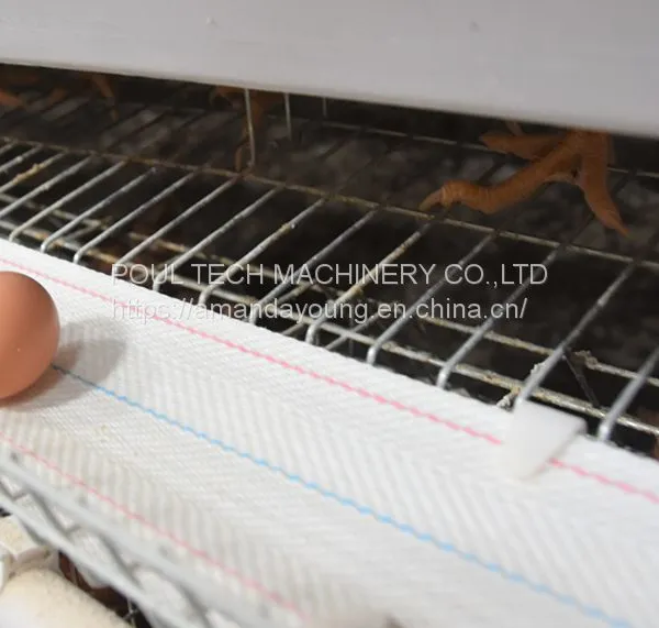 Battery Cage for Chicken Poultry Cage photo-2