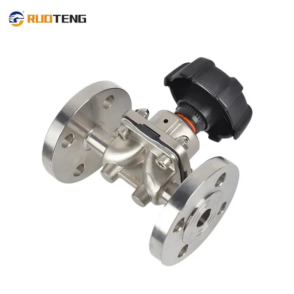 [Ruoteng] PN16 DN40 Flanged Connected Diaphragm Valve 316L Stainless Steel Double Diaphragm photo-2