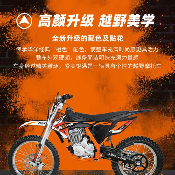 250cc Air Cooled Engine Dirtbike Made in China Off-Road Motorcycles for Adventure Riding photo-2