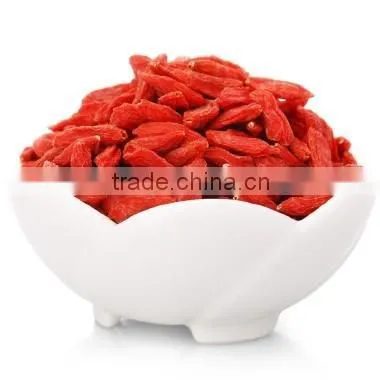 Goji for Dried Fruits Importers photo-3