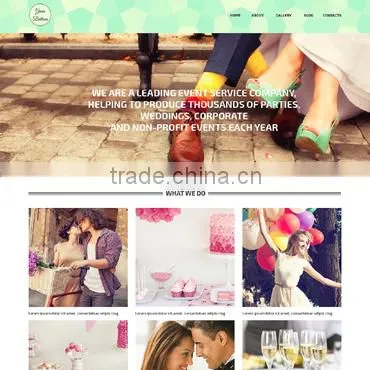 e Commerce Website Design photo-3