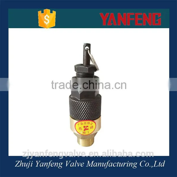 Made in China Brass Thread and Iron Body Pressure Control Valve Price photo-3