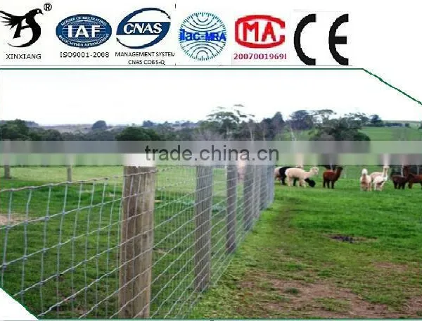 Anping Xinxiang Manufacturer Used Prairie Fence