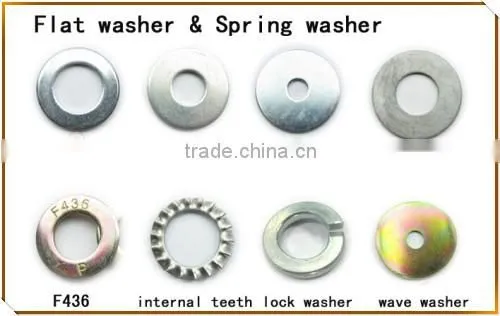 Chinese Factory Supply Plain Zinc Yellow Zinc Hot Dip Galvanizing DIN125A Washer photo-5
