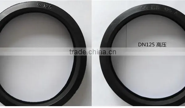 High Pressure Lip Seal Gasket for Pipe Clamp Supplier's Choice