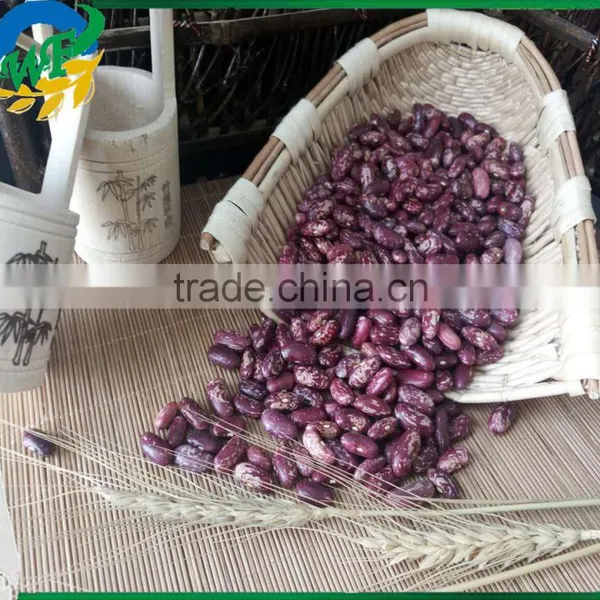 New Crop Chinese Purple Speckled Kidney Beans for Export