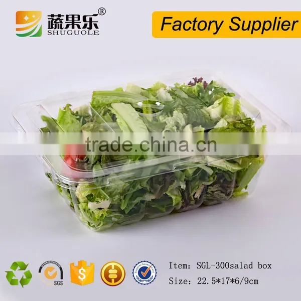 Rectangle Transparent Take Away Plastic Salad Box With Lid photo-5