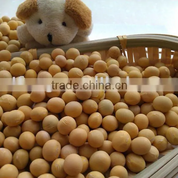 Soybean Seeds( 2011 Crop, Heilongjiang Origin)