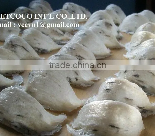 BIRD NEST photo-3