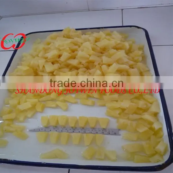 Canned Pineapple in Syrup Fresh Pineapple Air Freight From China to South Africa