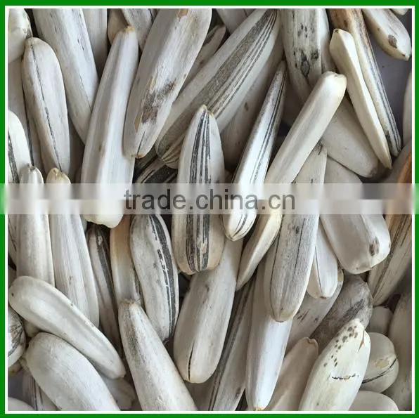 Good Quality Raw White Sunflower Seeds In Bulk photo-2