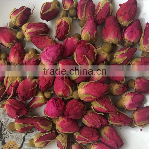 Flower Buds Tea Rose Pink Rose Flower Tea