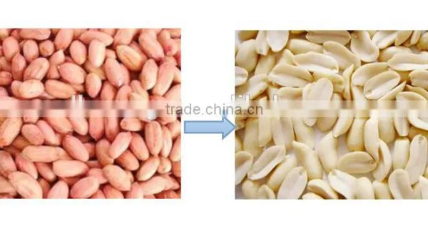 Peanut Halving and Peeling Machine photo-2