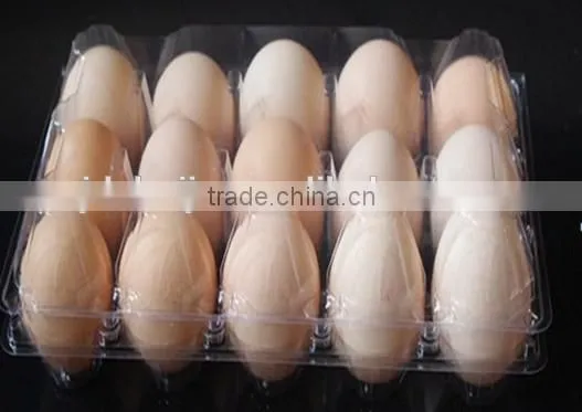 Best Price Chicken Eggs PVC Tray Egg Tray in China