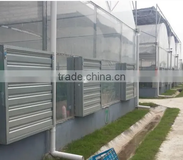 Prefabricated Plastic Film Greenhouse photo-2