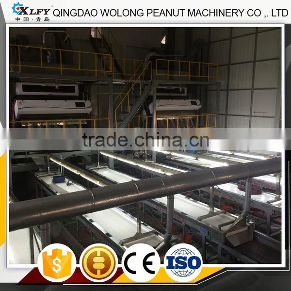 Optical Peanut Color Selecting Sorting Machine Line photo-2