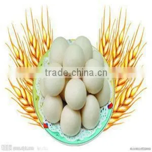 Hot Sale Stainless Steel Chinese Dough Divider Rounder Machine photo-3