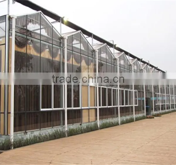 Competitive Price Greenhouse Hydroponics Strawberry photo-6