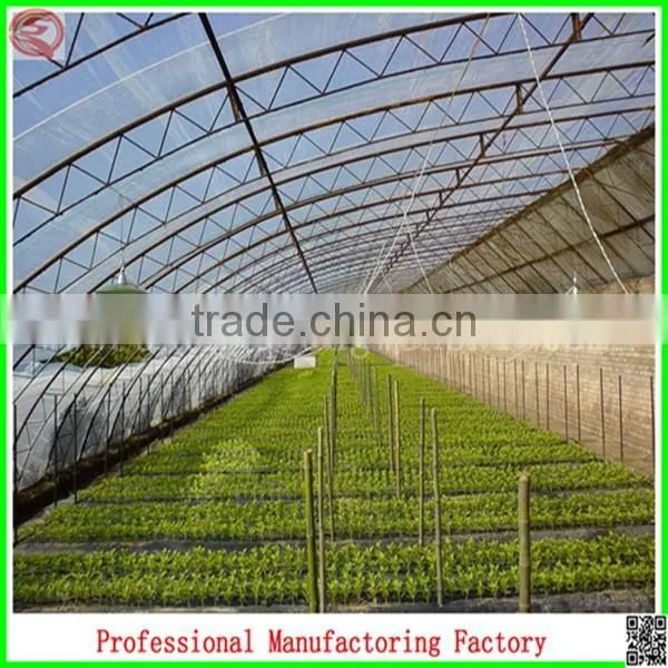 Economic and Eco-friendly Single-span Solar Greenhouse for Plant Growing With Arched Type photo-4