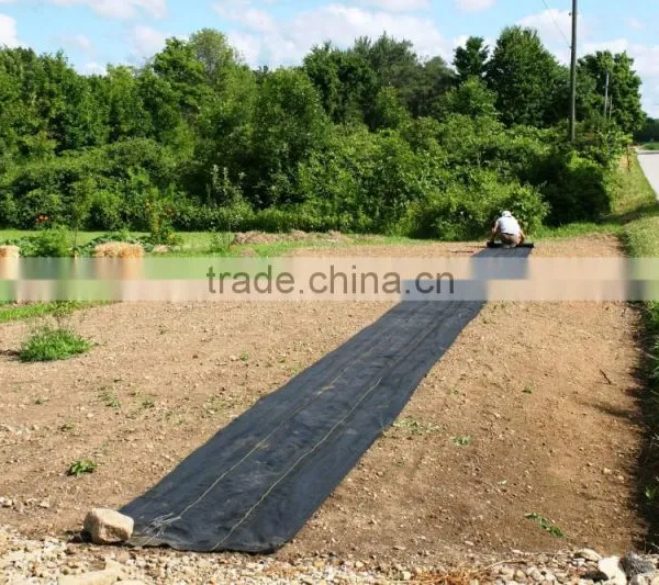 Black Weed Control Mat photo-6