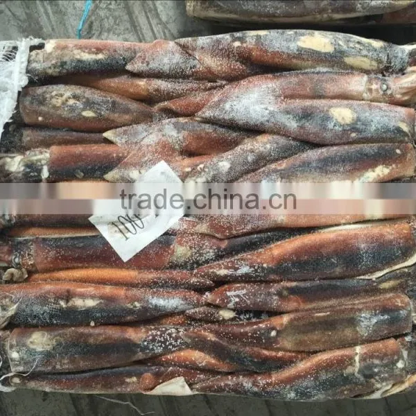 Frozen Illex Squid Whole Round photo-2