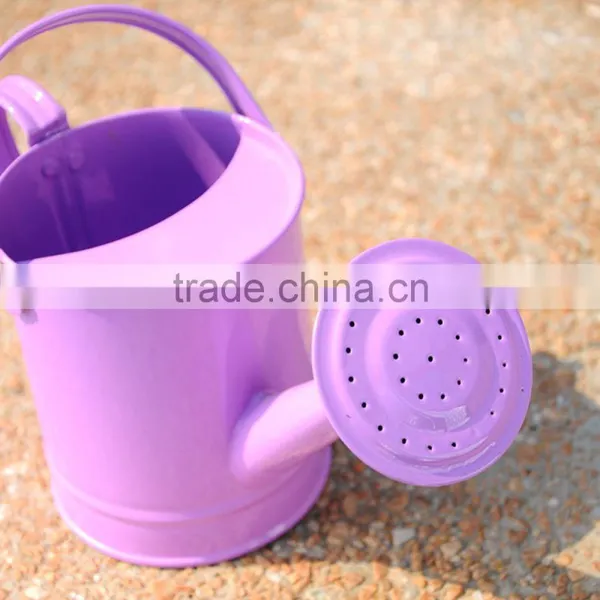 Metal Garden 4L Watering Can photo-4