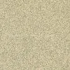 Polished Ceramic Tiles