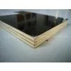 Poplar Core Construction Film Faced Plywood Manufacturer photo-3